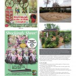 LGR Magazine ~ Farm At Table (feature article) p.2