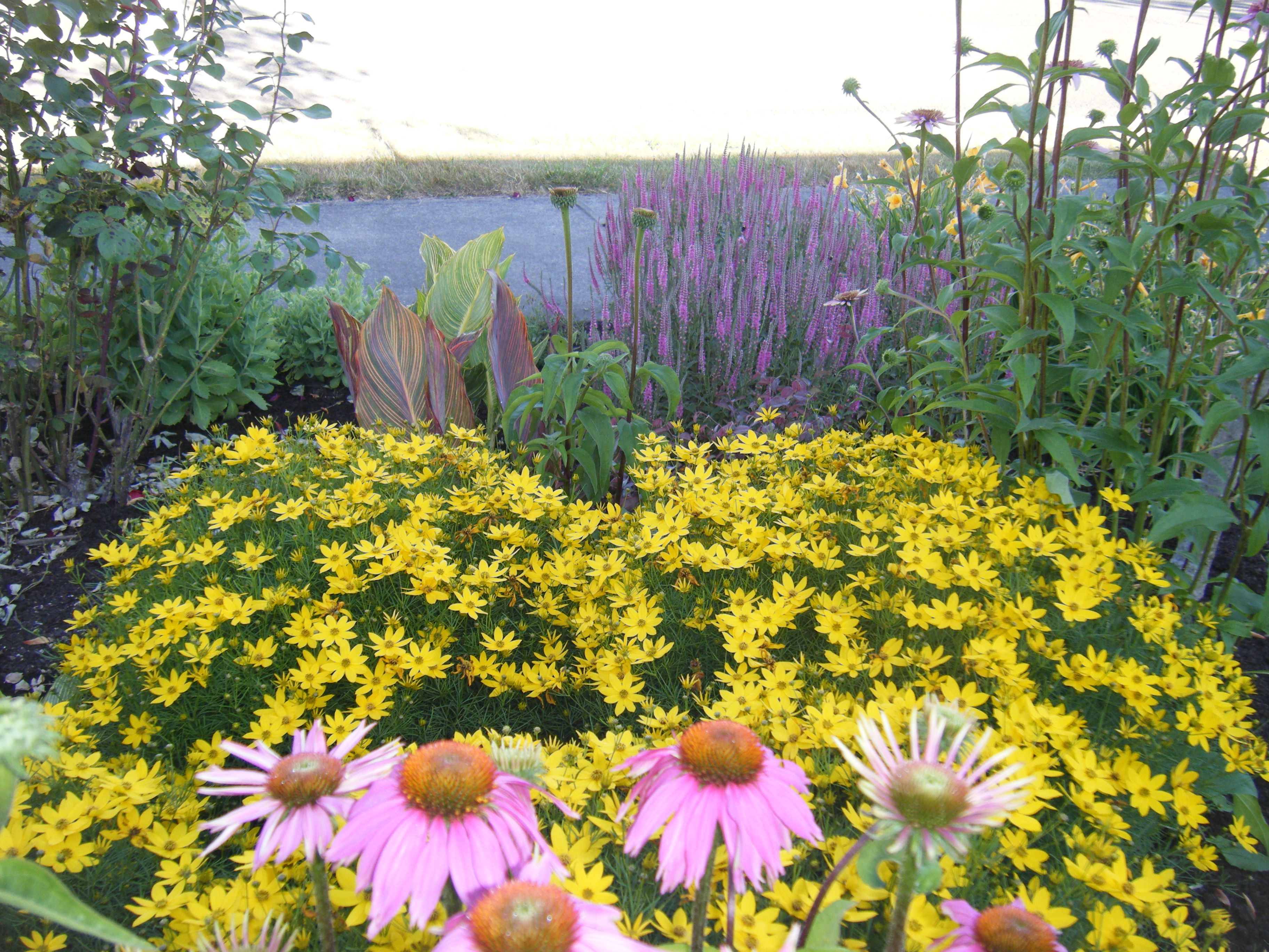 trial garden outfit for tough conditions