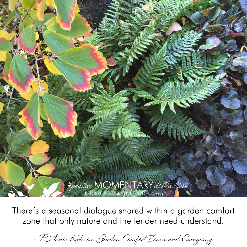 There’s a seasonal dialogue shared within a garden comfort zone that only nature and the tender need understand. - P. Annie Kirk, on Garden Comfort Zones and Caregiving
