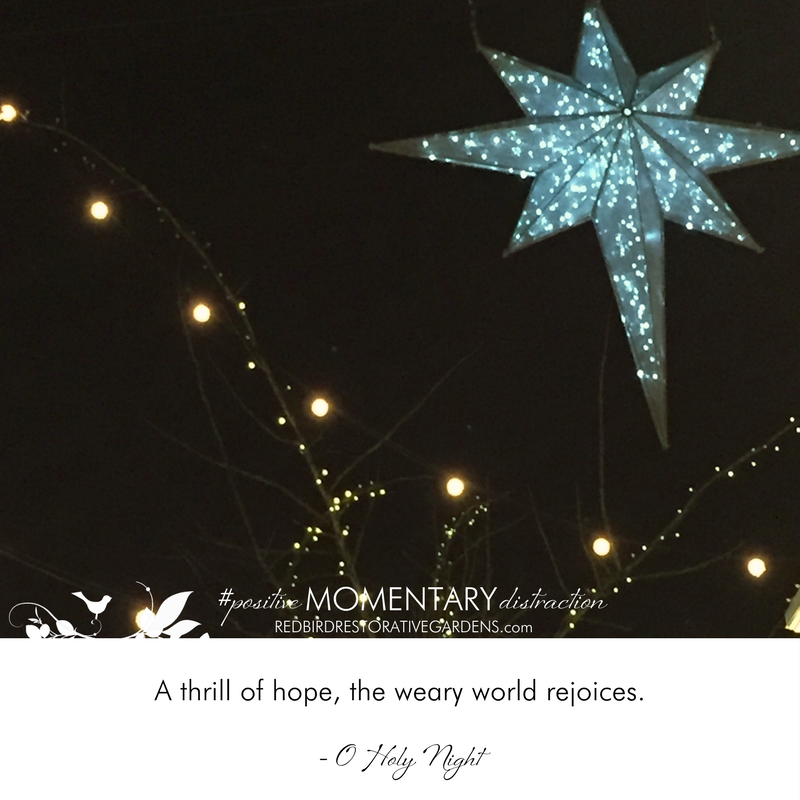 A Positive Momentart Distraction for December 25th, 2017 - A thrill of hope, the weary world rejoices. - O Holy Night