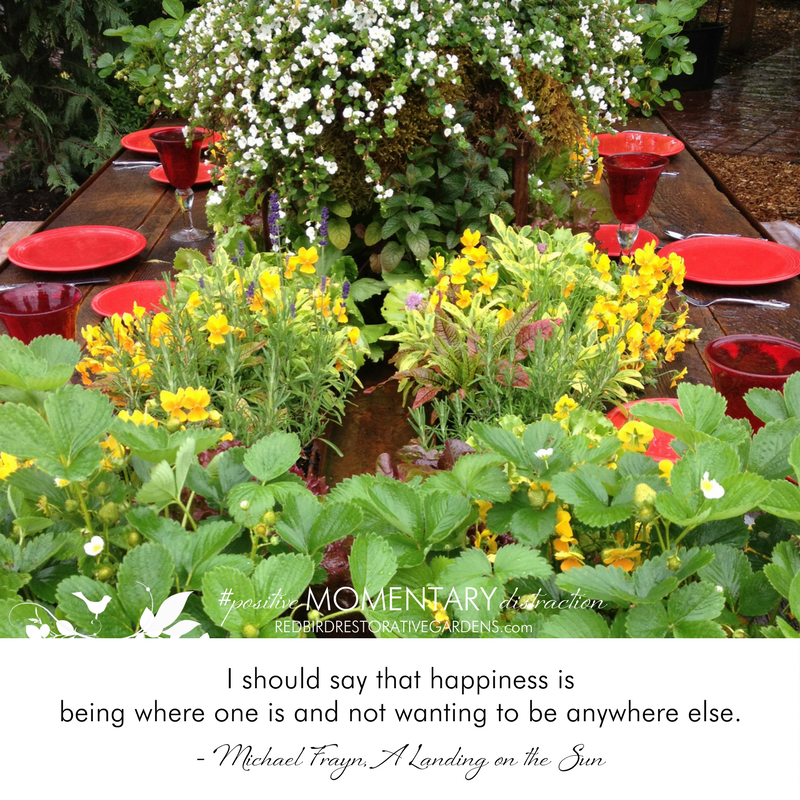 Strawberry plants landscape outdoor table with Michael Frayn quote Redbird restorative