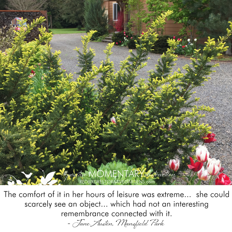 greenery red tulips Redbird landscape design Jane Austen quote