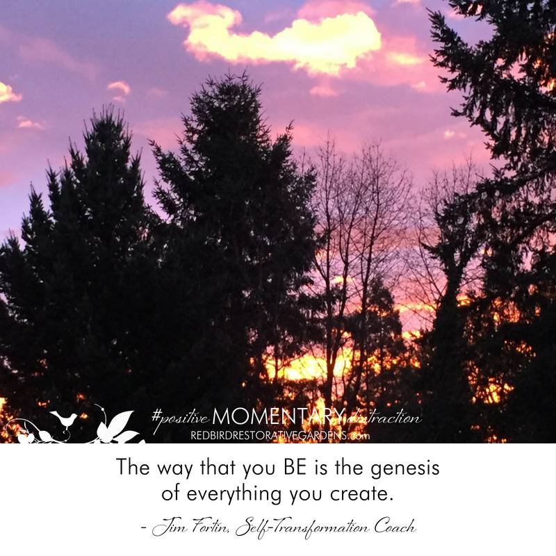 Evening sunset sky with trees, quote from Jim Fortin, Red Bird Restorative Landscape Design
