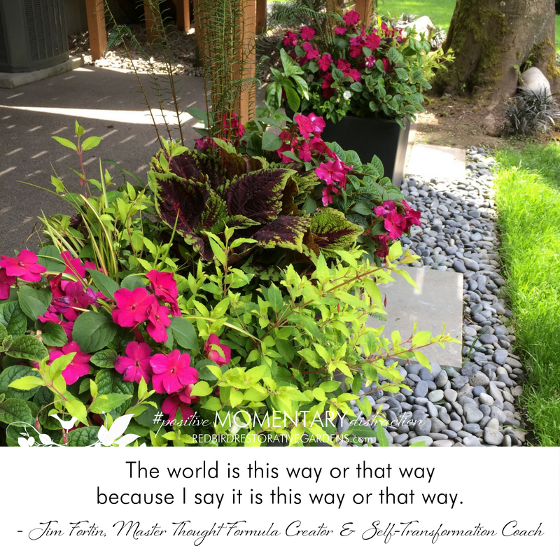 Landscaping red flower shrubs patio quote from Jim Fortin