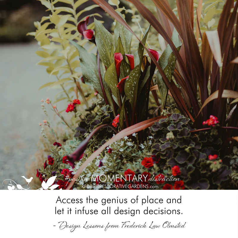 Red flowers foliage potted plants